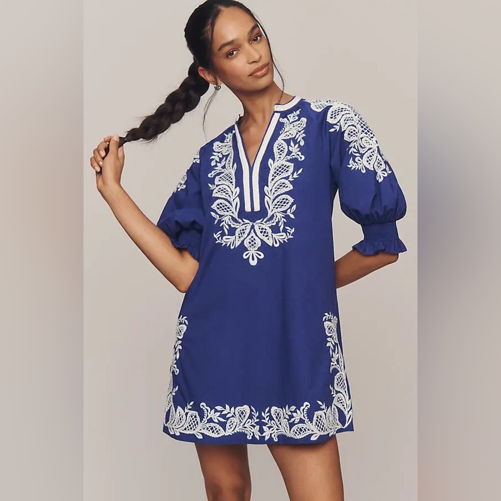 Embroidered V-Neck Mini Dress